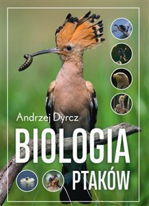 Picture of Biologia ptaków