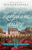 Zobacz : Zabłąkane ... - Magdalena Niedźwiedzka