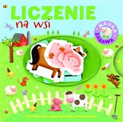 polish book : Liczenie n... - Brenda Apsley