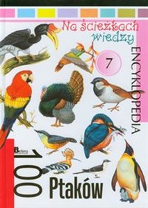 Obrazek Na ścieżkach wiedzy 7 100 ptaków Encyklopedia