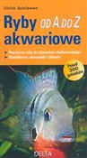 Ryby akwar... - Ulrich Schliewen -  Książka z wysyłką do UK