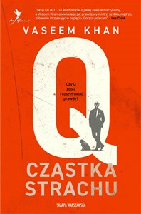 Picture of Q. Cząstka czasu