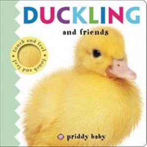 Obrazek Duckling and Friends Touch and Feel