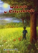 Wakacje w ... - Czesław Sikorski -  foreign books in polish 
