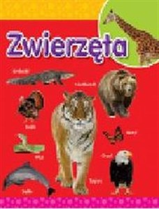 Picture of Zwierzęta