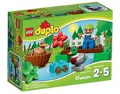 Lego Duplo... -  foreign books in polish 