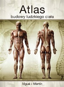 Obrazek Atlas budowy ludzkiego ciała