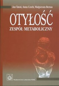 Obrazek Otyłość Zespół metaboliczny