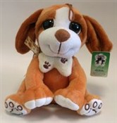 Zobacz : Piesek Flo...