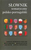 Słownik te... -  books from Poland