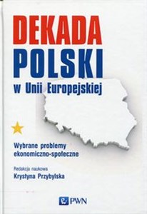 Picture of Dekada Polski w Unii Europejskiej Wybrane problemy ekonomiczno-społeczne