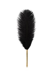 Picture of Długopis z piórem czarne