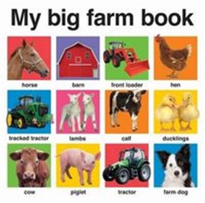 Picture of My Big Farm Book