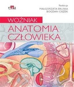 Picture of Anatomia człowieka. Woźniak