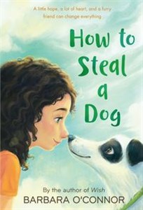 Picture of How to Steal a Dog