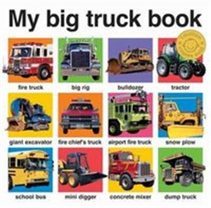 Obrazek My Big Truck Book