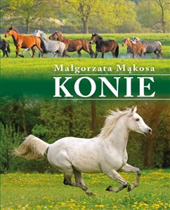 Picture of Konie