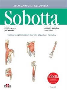 Picture of Tablice anatomiczne mięśni, stawów i nerwów. Angielskie mianownictwo Atlas anatomii człowieka Sobotta.