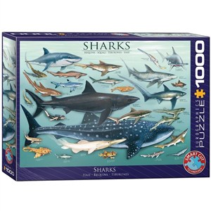 Obrazek Puzzle 1000 Rekiny