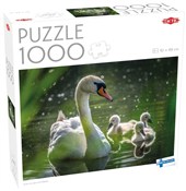 polish book : Puzzle 100...