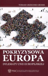 Picture of Pokryzysowa Europa Dylematy Unii Europejskiej