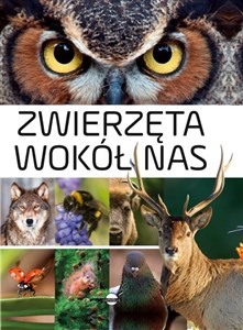 Picture of Zwierzęta wokół nas Encyklopedia ilustrowana