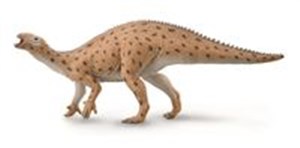 Picture of Dinozaur Fukuizaur