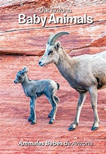 Picture of Our Arizona: Baby Animals (Our Baby Animals)