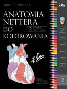 Picture of Anatomia Nettera do kolorowania
