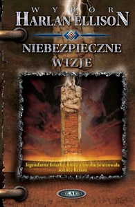 Picture of Niebezpieczne wizje