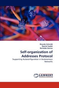 Picture of Self-organization of Addresses Protocol