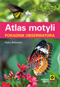 Obrazek Atlas motyli