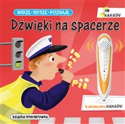 Polska książka : Widzę słys... - Magdalena Młodnicka