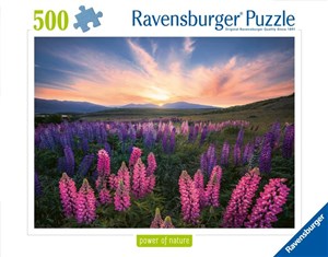 Obrazek Puzzle 2D: Łąka 500el