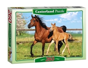 Picture of 260x PUZZLE KARTONOWE KONIK WIEK 5+