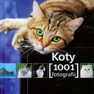 Picture of Koty 1001 fotografii