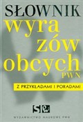 Słownik wy... - Lidia Drabik -  Polish Bookstore 