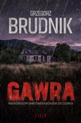 polish book : Gawra - Grzegorz Brudnik