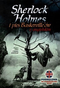 Picture of Sherlock Holmes i pies Baskerville'ów z angielskim