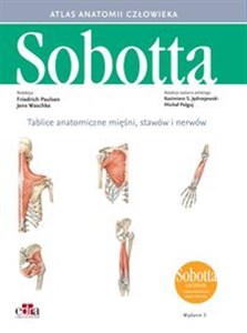 Picture of Tablice anatomiczne mięśni, stawów i nerwów. Łacińskie mianownictwo Atlas anatomii człowieka Sobotta