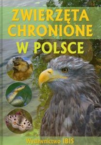 Picture of Zwierzęta chronione w Polsce