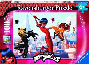 Obrazek Puzzle XXL 100 Biedronka i czarny kot