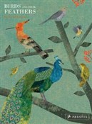 Polska książka : Birds and ... - Britta Teckentrup
