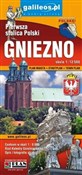polish book : Gniezno, 1...