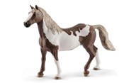 Show details for SLH Paint Gelding koń SLH Paint ... -  books from Poland