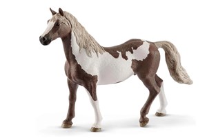 Picture of SLH Paint Gelding koń