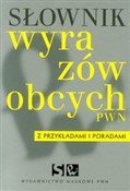 Słownik wy... - Lidia Drabik -  books from Poland