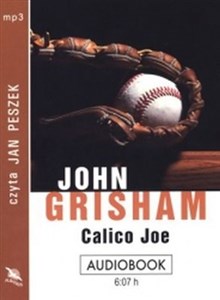 Picture of [Audiobook] Calico Joe