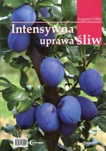 Picture of Intensywna uprawa śliw