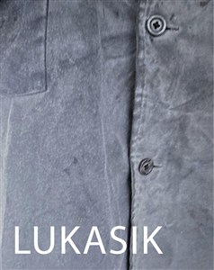 Picture of Lukasik. Inwentaryzacja
